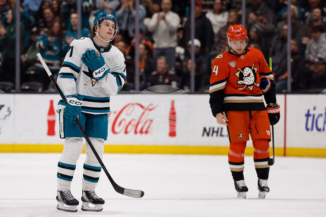 Sharks Ducks Hockey
