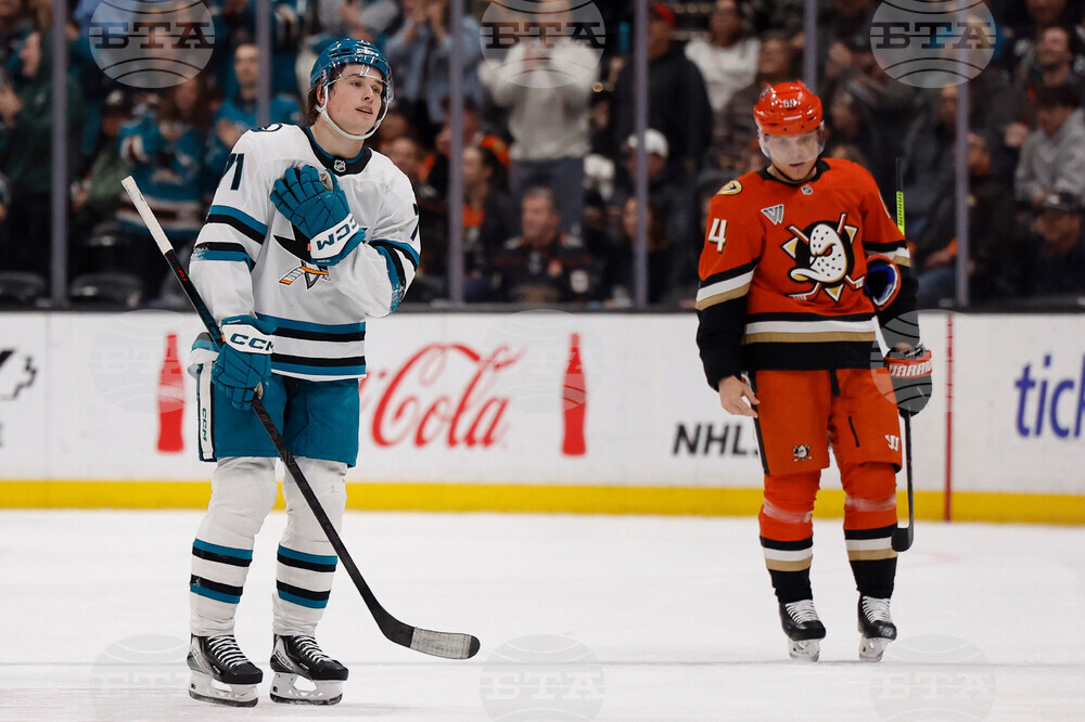 Sharks Ducks Hockey