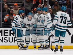 Sharks Ducks Hockey