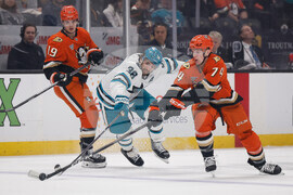 Sharks Ducks Hockey