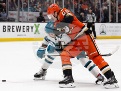 Sharks Ducks Hockey