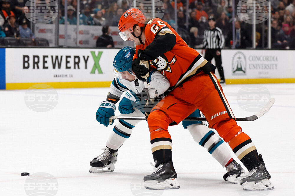 Sharks Ducks Hockey