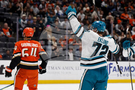 Sharks Ducks Hockey