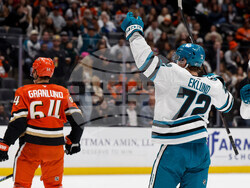 Sharks Ducks Hockey