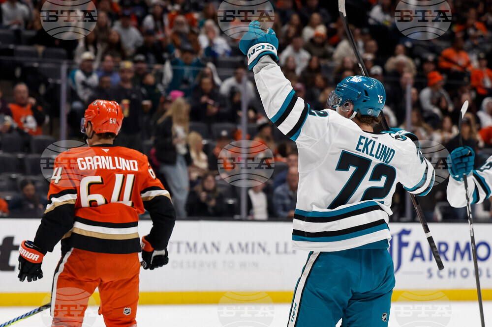 Sharks Ducks Hockey