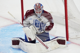 Kings Avalanche Hockey