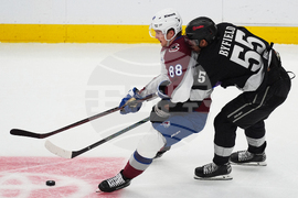 Kings Avalanche Hockey