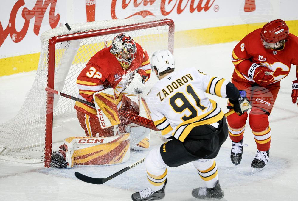 Bruins Flames Hockey