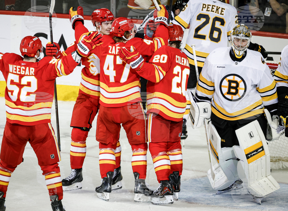 Bruins Flames Hockey