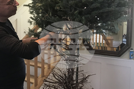 Gardening Christmas Tree Uses