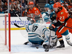 Sharks Ducks Hockey