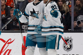 Sharks Ducks Hockey