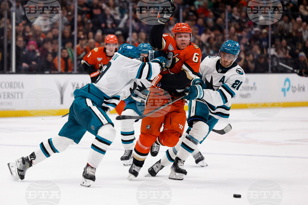 Sharks Ducks Hockey