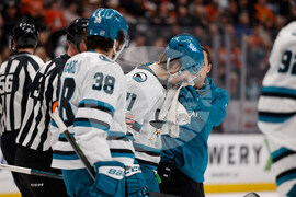 Sharks Ducks Hockey