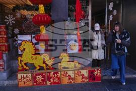 China New Year Preparation