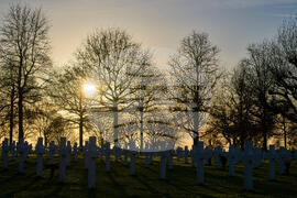 Netherlands Black Liberators