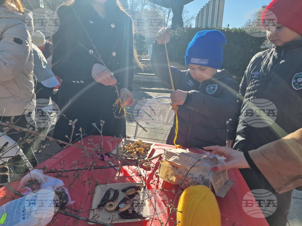 Разград - сурвачки - работилница