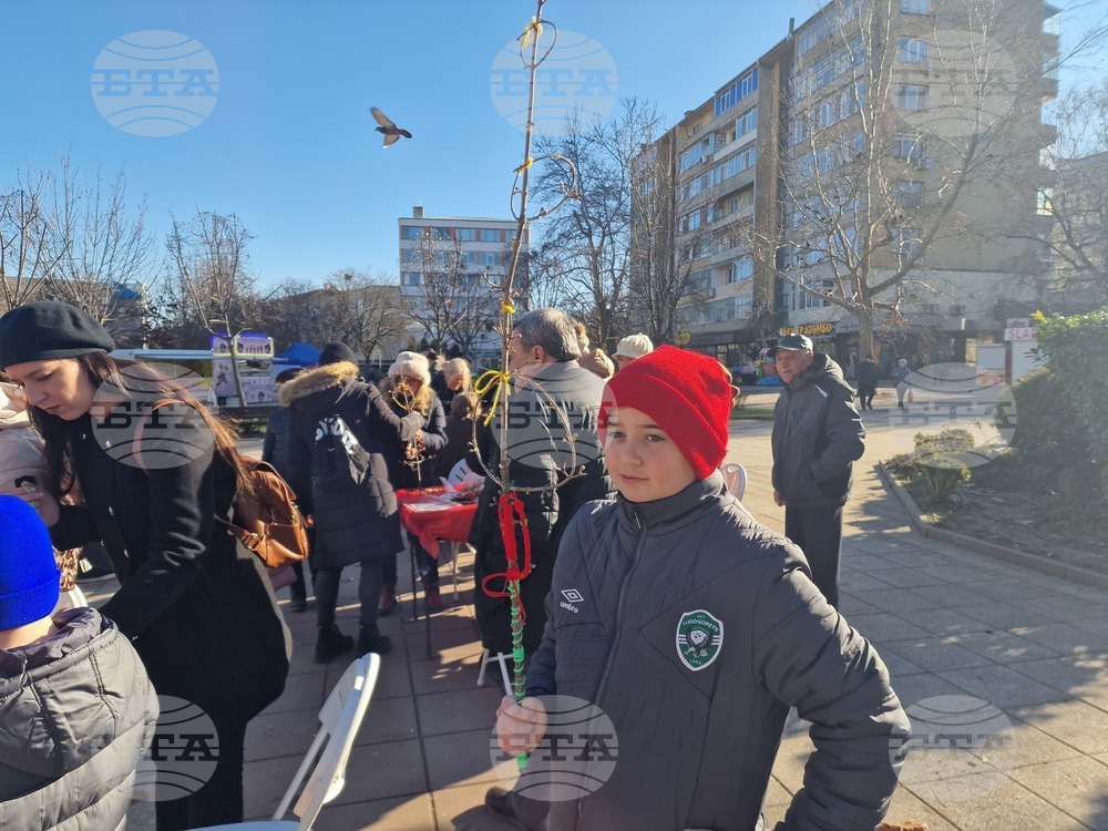 Разград - сурвачки - работилница