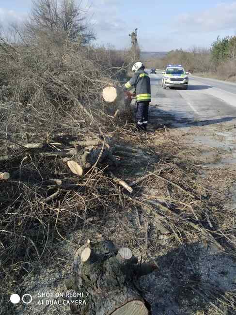 ОА Русе: Паднали дървета блокираха пътя Русе – София 