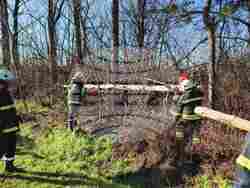 Снимка: Областна администрация Русе