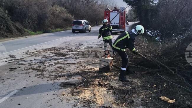 Силен вятър със скорост до 86 км/час повали дървета в участъци от главни пътища в Русенско