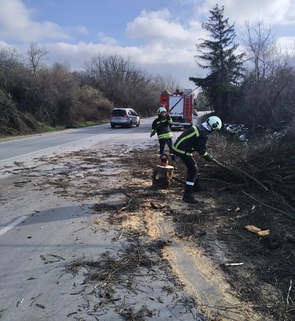 Силен вятър със скорост до 86 км/час повали дървета в участъци от главни пътища в Русенско