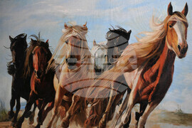 Бургас - Антон Жишев - изложба