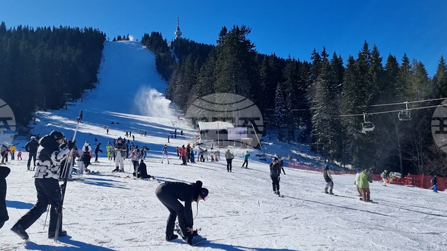 Ски сезонът в Пампорово започна със силен старт, курортът посреща повече румънски, английски и ирландски туристи