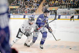 Switzerland Spengler Cup Hockey