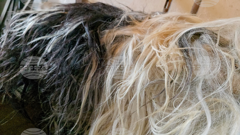 Разлог - чауши - подготовка