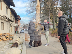 Разлог - чауши - подготовка