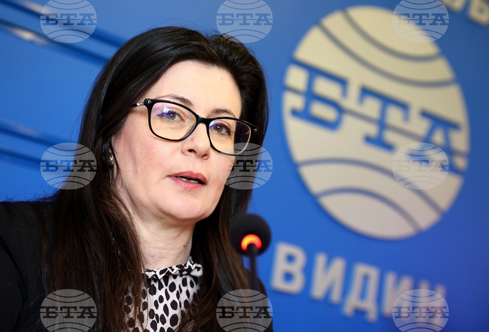 Национален пресклуб на БТА Видин - Конференция по проект "Европа в България: Общо бъдеще"