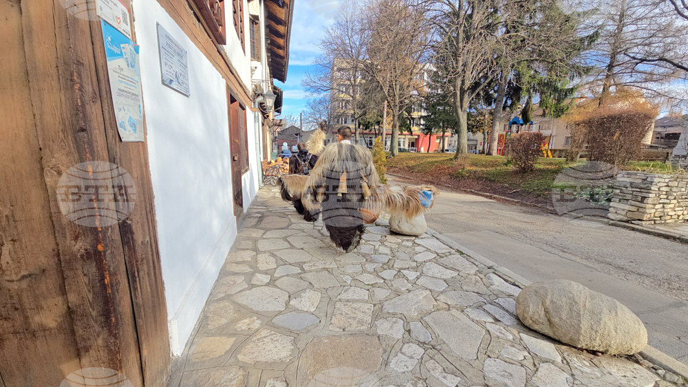 Разлог - чауши - подготовка