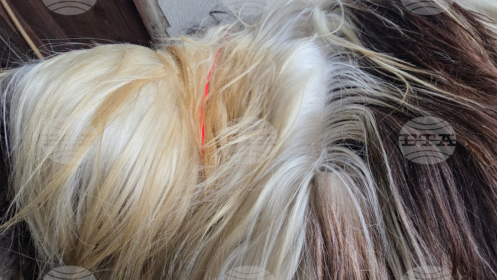 Разлог - чауши - подготовка