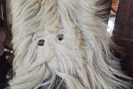 Разлог - чауши - подготовка