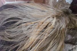 Разлог - чауши - подготовка