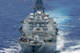 Naval Training Marine Mammals