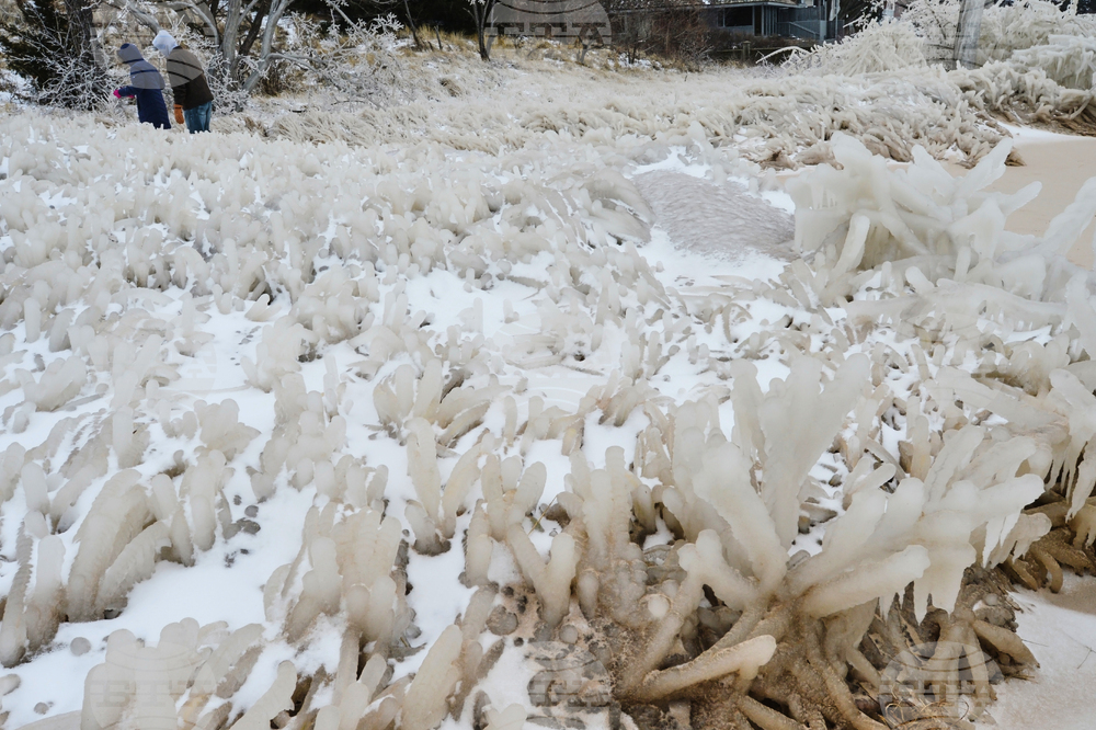 Winter Weather Michigan