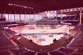 NHL Winter Classic Hockey