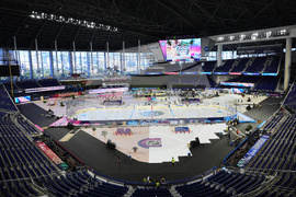 NHL Winter Classic Hockey