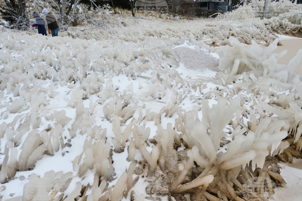 Winter Weather Michigan