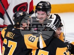 Hurricanes Penguins Hockey