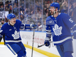 Devils Maple Leafs Hockey