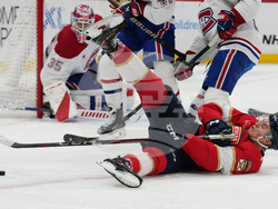 Canadiens Panthers Hockey