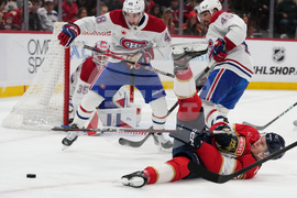 Canadiens Panthers Hockey