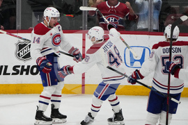 Canadiens Panthers Hockey
