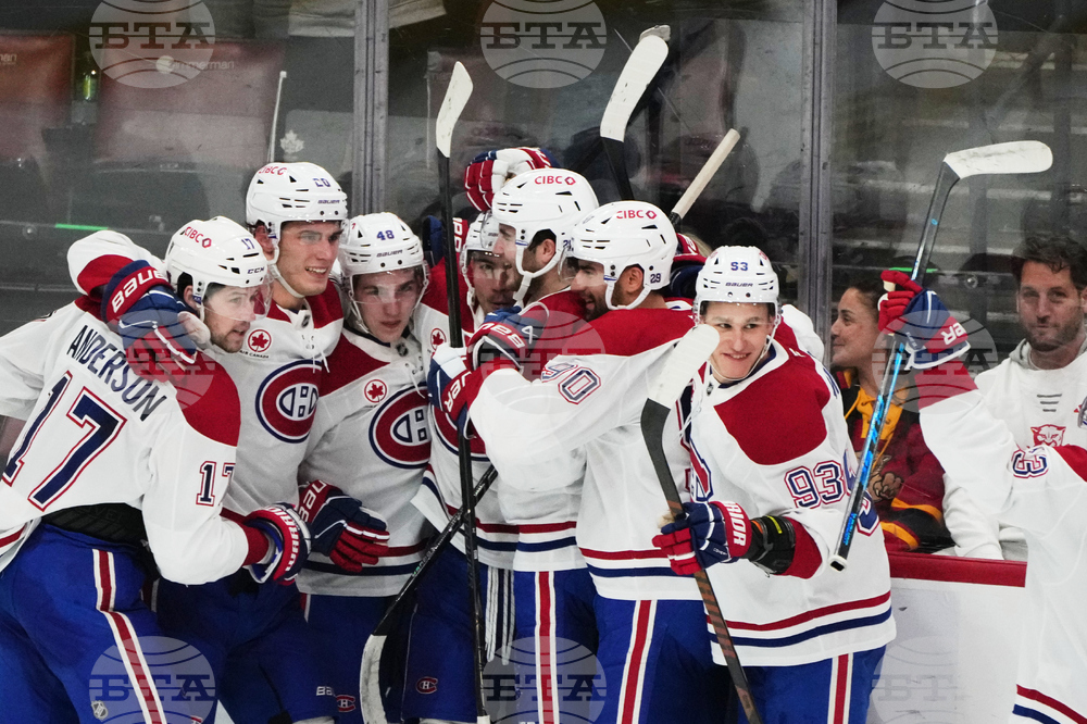 Canadiens Panthers Hockey