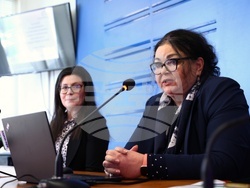 Национален пресклуб на БТА Видин - Конференция по проект "Европа в България: Общо бъдеще"