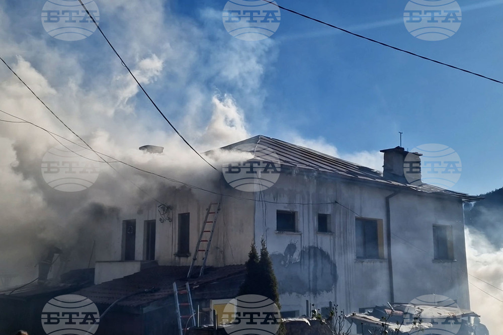 Общо 81 пожара са потушени в страната през последното денонощие