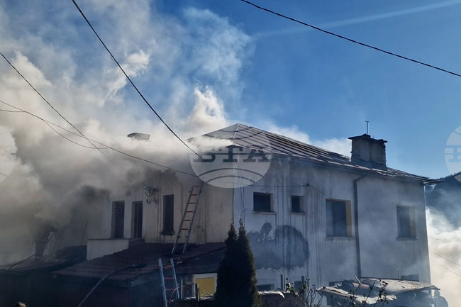 Общо 81 пожара са потушени в страната през последното денонощие